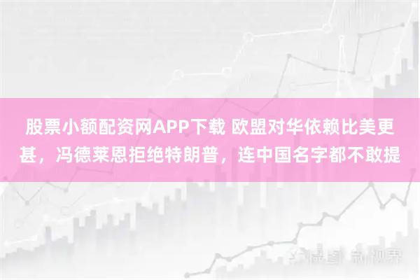 股票小额配资网APP下载 欧盟对华依赖比美更甚，冯德莱恩拒绝特朗普，连中国名字都不敢提