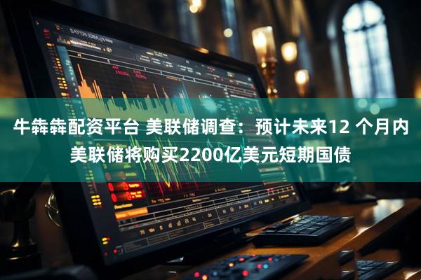 牛犇犇配资平台 美联储调查：预计未来12 个月内美联储将购买2200亿美元短期国债