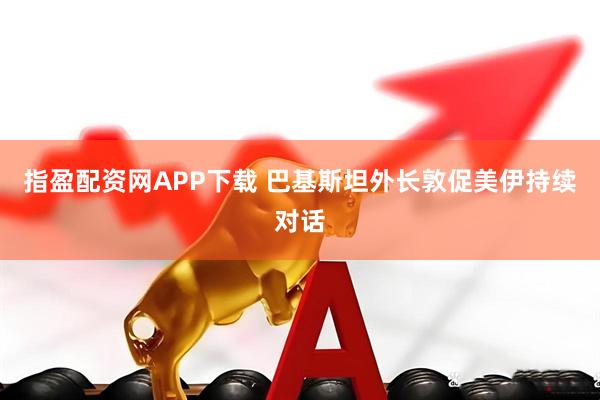 指盈配资网APP下载 巴基斯坦外长敦促美伊持续对话